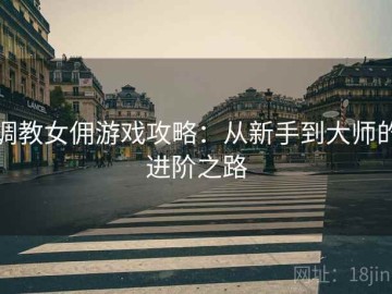 调教女佣游戏攻略：从新手到大师的进阶之路