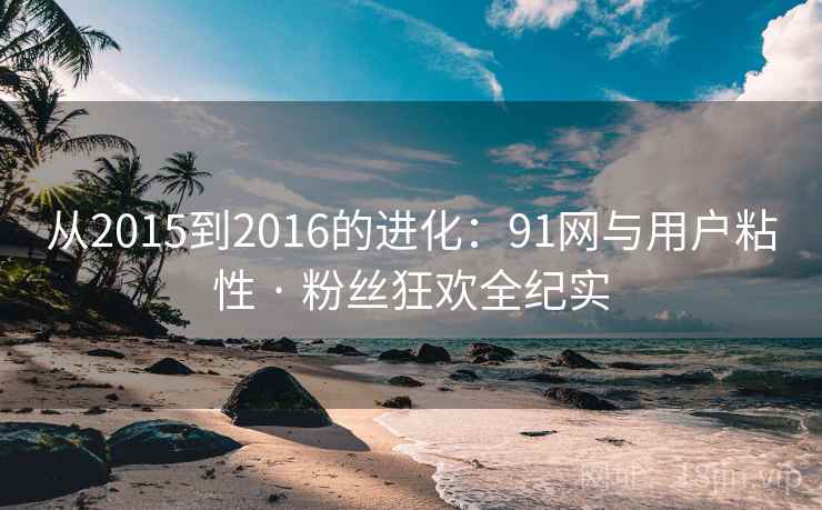 从2015到2016的进化:91网与用户粘性 · 粉丝狂欢全纪实 从2015到2016的进化:91网与用户粘性 · 粉丝狂欢全纪实