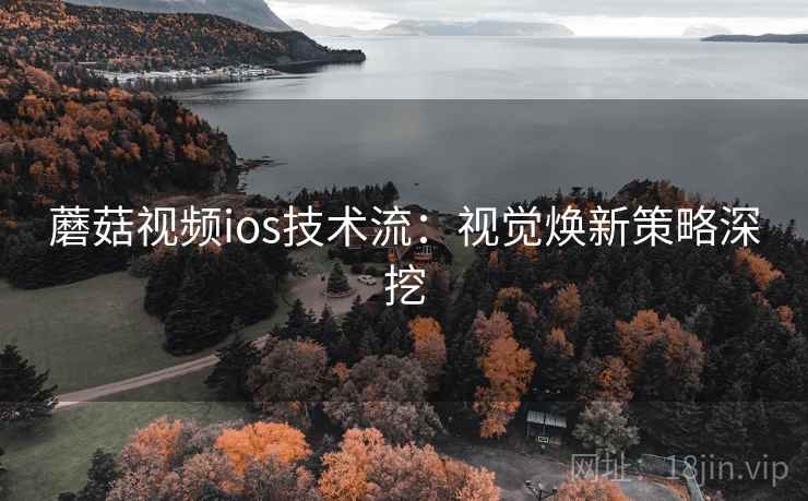蘑菇视频ios技术流：视觉焕新策略深挖