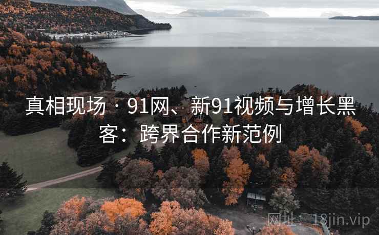 真相现场 · 91网、新91视频与增长黑客:跨界合作新范例 真相现场 · 91网、新91视频与增长黑客:跨界合作新范例
