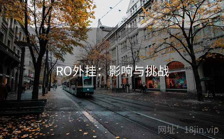 RO外挂:影响与挑战 RO外挂:影响与挑战