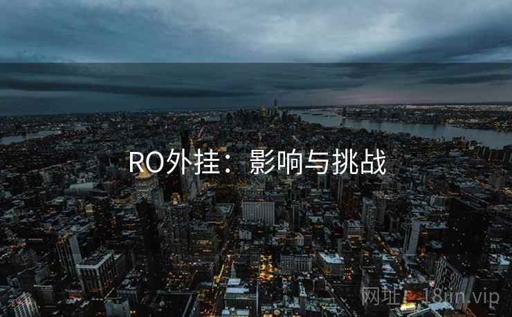 RO外挂:影响与挑战 RO外挂:影响与挑战
