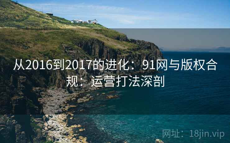 从2016到2017的进化:91网与版权合规:运营打法深剖 从2016到2017的进化:91网与版权合规:运营打法深剖