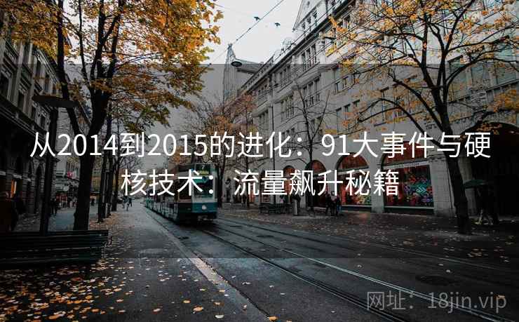 从2014到2015的进化:91大事件与硬核技术:流量飙升秘籍 从2014到2015的进化:91大事件与硬核技术:流量飙升秘籍